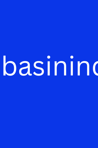 A Comprehensive Guide to Bebasinindo Features