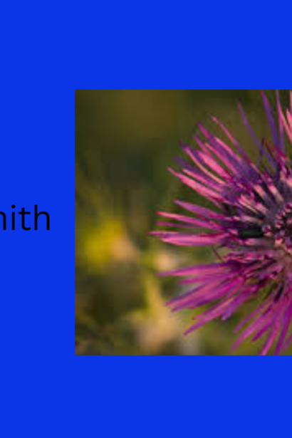 The Ultimate Guide to Exploring Pernithia Galnith