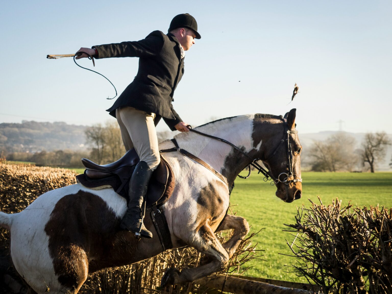 Your Complete Guide to the Equestrian Paralympics 2024 2024