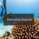 Unveiling the Secrets: Best Natural Landscapes to Discover Pernithia Galnith