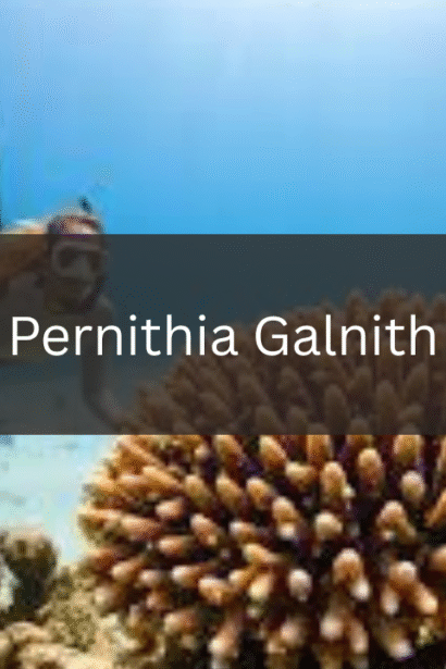 Unveiling the Secrets: Best Natural Landscapes to Discover Pernithia Galnith