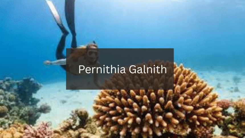 Unveiling the Secrets: Best Natural Landscapes to Discover Pernithia Galnith