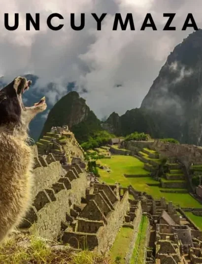 A Comprehensive Guide to Understanding Uncuymaza