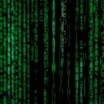 A Comprehensive Guide to Understanding Waxillgro279