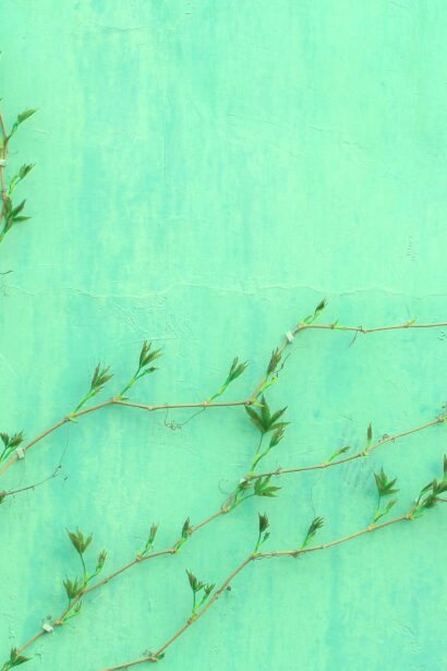 What is Green IT and How Does Tex9.net Contribute?