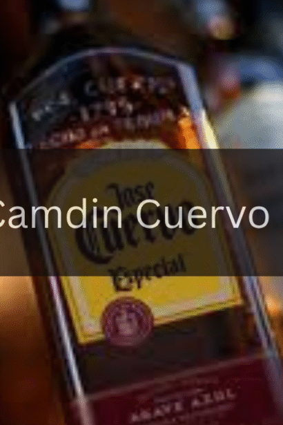 How to Experience the Best of Camdin Cuervo