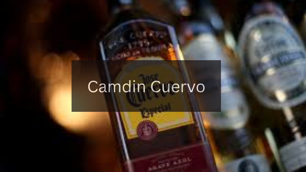 How to Experience the Best of Camdin Cuervo