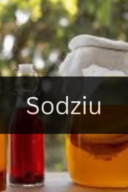The Ultimate Guide to Understanding Sodziu
