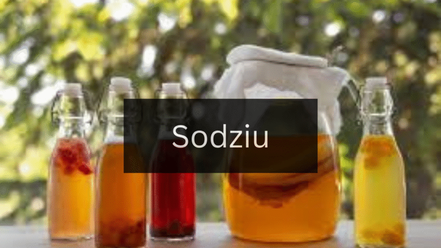 The Ultimate Guide to Understanding Sodziu