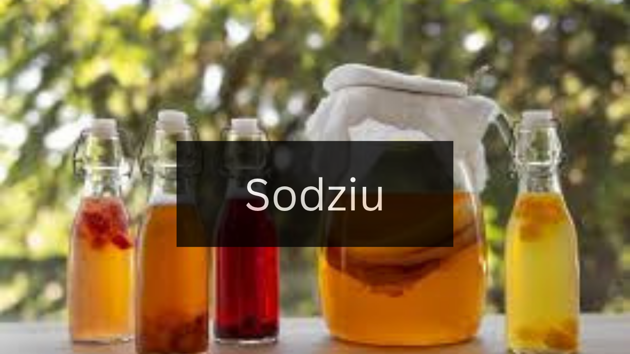 The Ultimate Guide to Understanding Sodziu