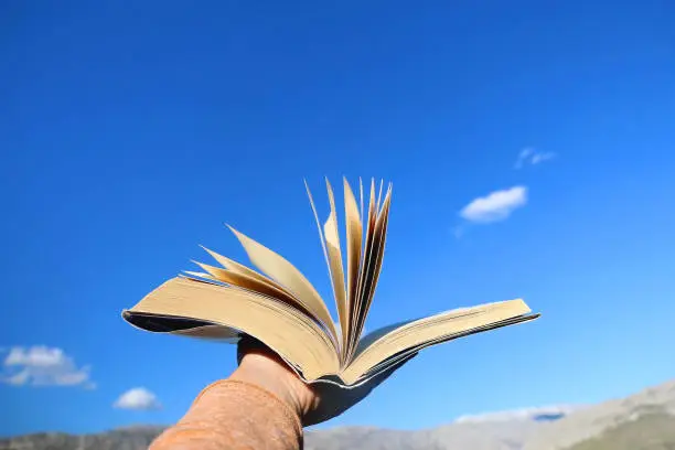 Top 5 Features of Book32 You Need to Know