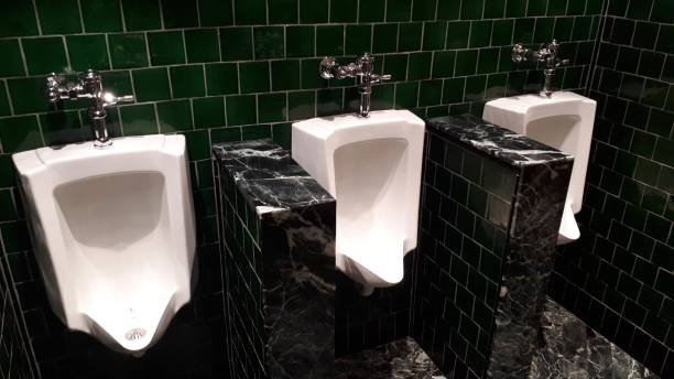 Elegant porcelain lavatory tile and porcelain tile rest room layout
