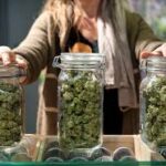 Why More People Prefer to Buy Canadian Weed Online: A Guide for New and Experienced Users