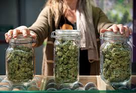 Why More People Prefer to Buy Canadian Weed Online: A Guide for New and Experienced Users