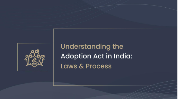 Resolving NRI Property Disputes in India: A Guide for Legal Clarity
