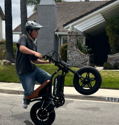 Electric Bike