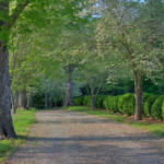The point of two hundred feet of cable is that the tractor never has to go where the tree fell